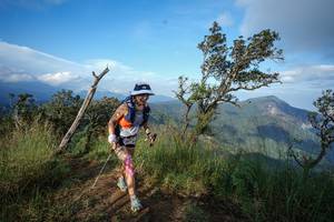 BIB: 
                            <button type="button" onclick="openModal(22429798)" class="btn btn-primary btn-sm float-right btn-popup" data-toggle="modal" data-target=".modal-high-quality">
                        <i class="fas fa-shopping-cart"></i> Add to Cart
                    </button>
                                            <button type="button" onclick="isThisMe(22429798, true)" class="btn btn-success btn-sm float-right btn-popup btn-isme hidden" data-toggle="tooltip" data-placement="bottom" title="นี่คือรูปของคุณใช่ไหม คลิกที่นี่เพื่อเอาเข้าอัลบั้ม">
                        <i class="fas fa-plus"></i> Add to album
                    </button>
                    <button type="button" onclick="isThisMe(22429798, false)" class="btn btn-warning btn-sm float-right btn-popup btn-isnotme hidden">
                        <i class="fas fa-ban"></i> Remove from album
                    </button>